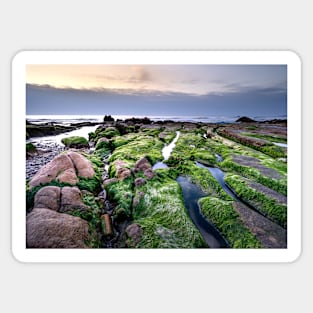 GREEN MOSS ON THE ROCKS DESIGN Sticker